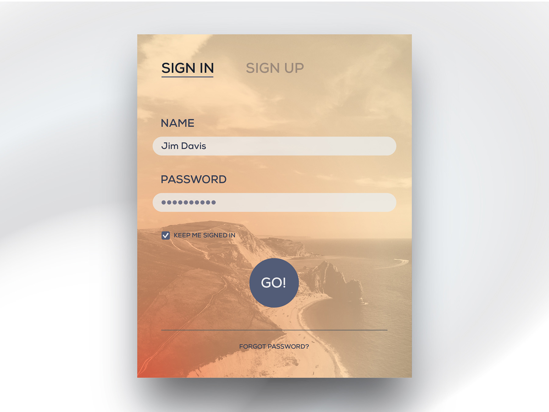 Login Form