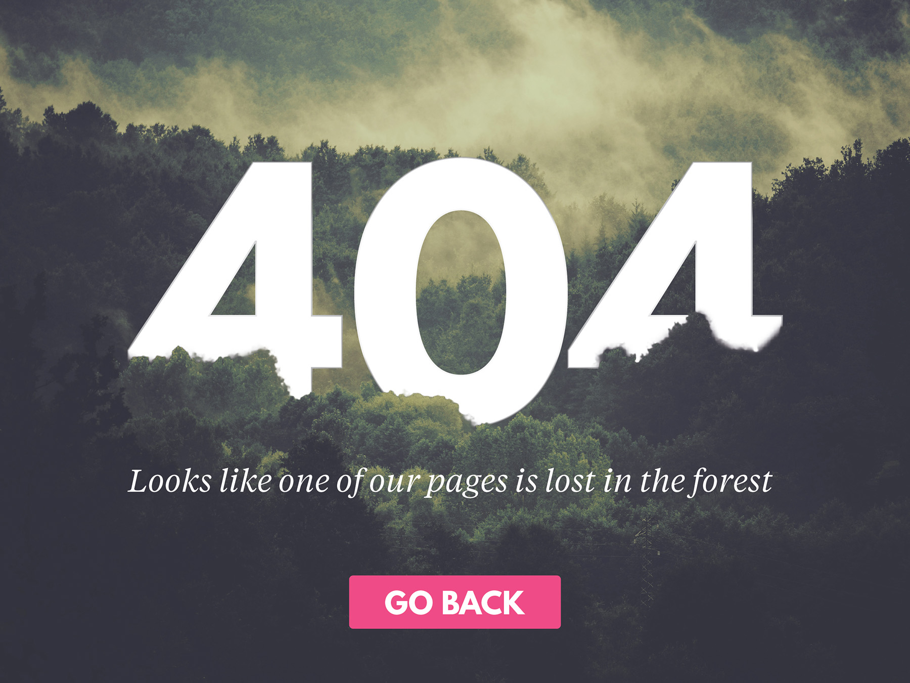 404 Page